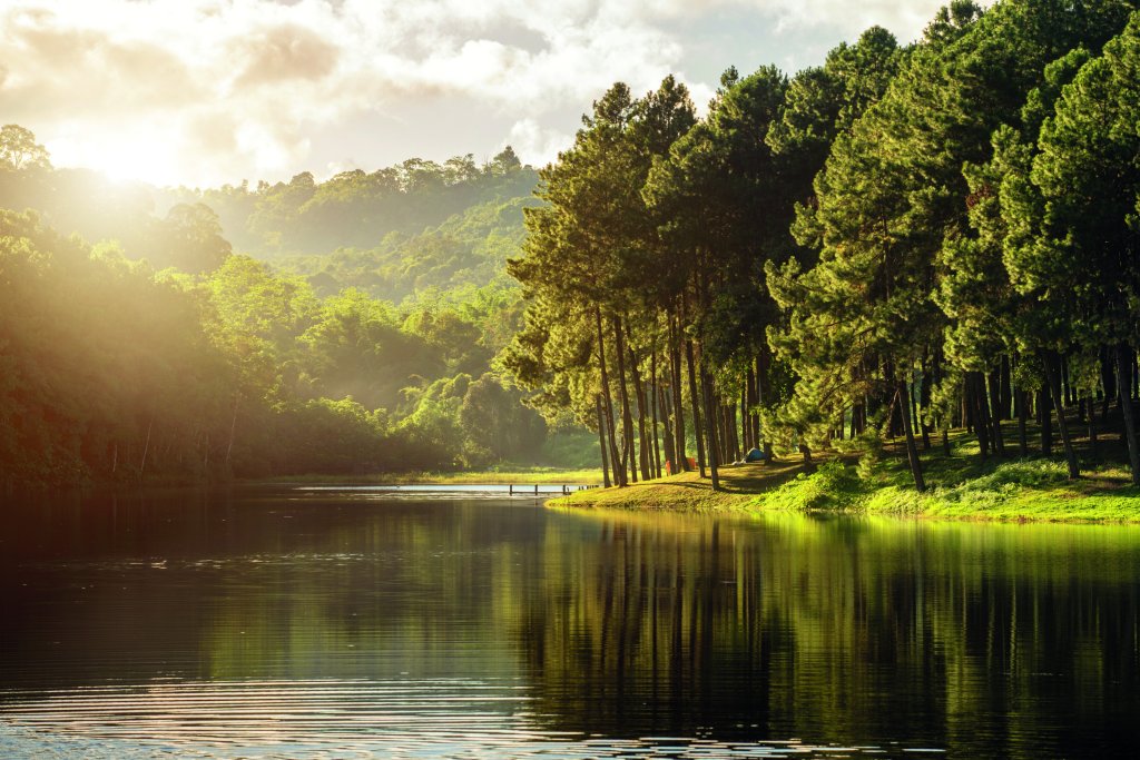 Reflektion von Bäumen in einem See zum Sonnenuntergang.